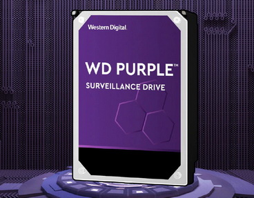 hdd purpura